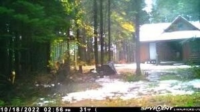 (private lake, pond, creek) Acreage For Sale in Hulbert Michigan