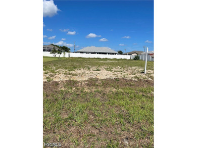 This lot is located in an X Flood Zone area and surrounded by - photo 2