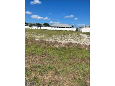 This lot is located in an X Flood Zone area and surrounded by - photo 3