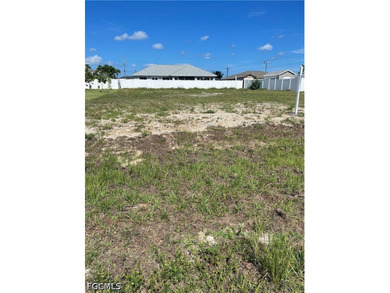 This lot is located in an X Flood Zone area and surrounded by - photo 4