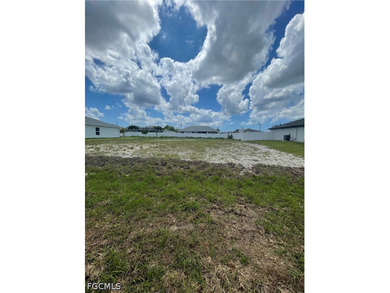 This lot is located in an X Flood Zone area and surrounded by - photo 6