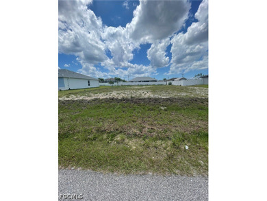 This lot is located in an X Flood Zone area and surrounded by - photo 8