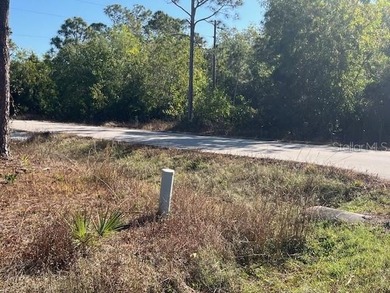 READY TO BUILD ! OWNER FINANCING POSSIBLE! A Corner & Cleared - photo 11