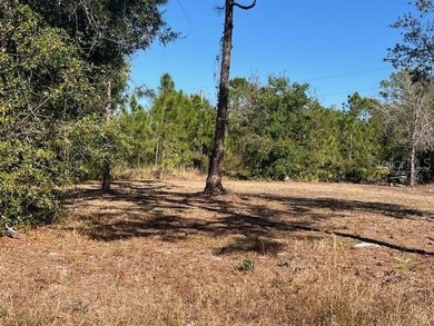 READY TO BUILD ! OWNER FINANCING POSSIBLE! A Corner & Cleared - photo 12