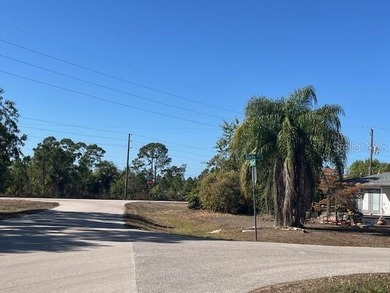 READY TO BUILD ! OWNER FINANCING POSSIBLE! A Corner & Cleared - photo 13