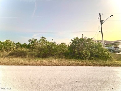 Lehigh Acres Area Lot For Sale in Lehigh Acres Florida