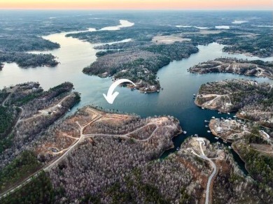 Welcome to Hidden Hills! Unprecedented views of Lewis Smith Lake - Lake Lot For Sale in Bremen, Alabama