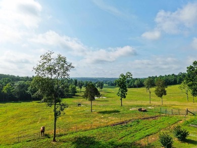 Built in 2021, this 4,304 sq. ft. brick home anchors an - photo 4