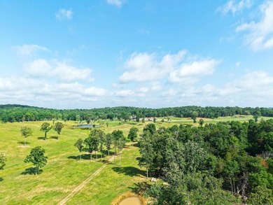 Built in 2021, this 4,304 sq. ft. brick home anchors an - photo 5