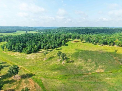 Built in 2021, this 4,304 sq. ft. brick home anchors an - photo 8