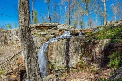 (private lake, pond, creek) Lot For Sale in Jasper Tennessee