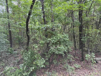 Greers Ferry Lake Lot For Sale in Heber Springs Arkansas