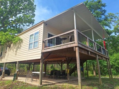 Lake Home For Sale in Baxley, Georgia