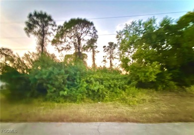 Lehigh Acres Area Lot For Sale in Lehigh Acres Florida