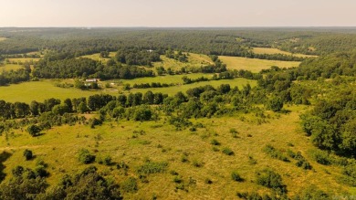 (private lake, pond, creek) Home For Sale in Hardy Arkansas