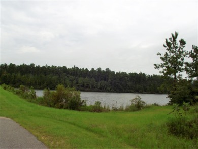 Lake Juniper Lot For Sale in Brewton Alabama