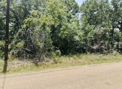 Build your dream home on this beautiful heavily treed lot in the - photo 2