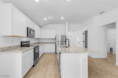 This home is Completed! Welcome to the Tortuga by LGI Homes - photo 3