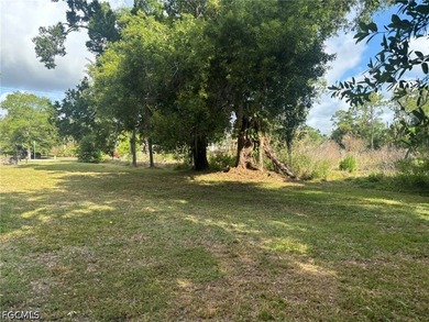 Great 2-acre property located in North Fort Myers. Property had - photo 5