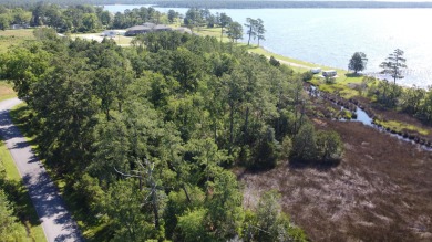 Bay River Acreage For Sale in Vandemere North Carolina