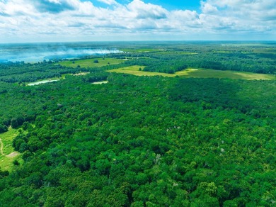 Escape to your own private East Texas retreat at 104 County Road - photo 12