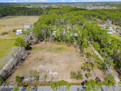 (private lake, pond, coastal) Acreage For Sale in New Smyrna Beach Florida