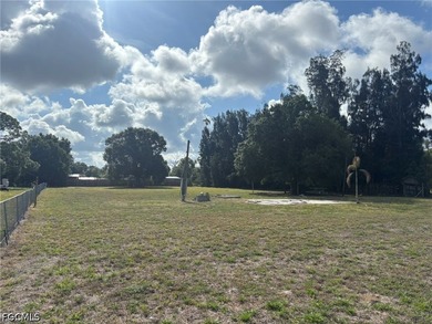 1 acre lot in Suncoast estates. Lot previously had a mobile home - photo 3