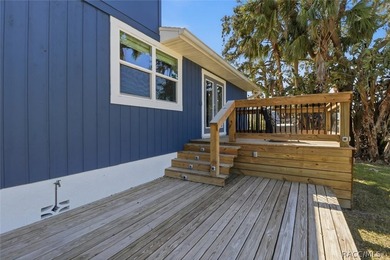 Welcome to your slice of paradise in beautiful Crystal River - photo 46