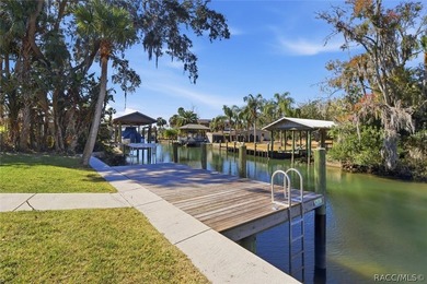 Welcome to your slice of paradise in beautiful Crystal River - photo 49