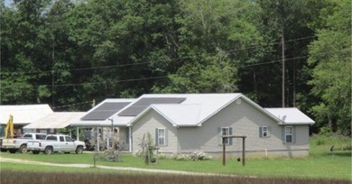 (private lake, pond, creek) Home For Sale in Uvalda Georgia