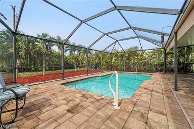 NO Flood insurance required ! Beautiful opportunity in Cape - photo 5