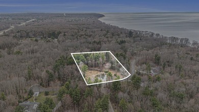 Lake Michigan - Allegan County Acreage For Sale in Fennville Michigan