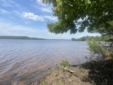 Lake Acreage For Sale in Waltham, Maine