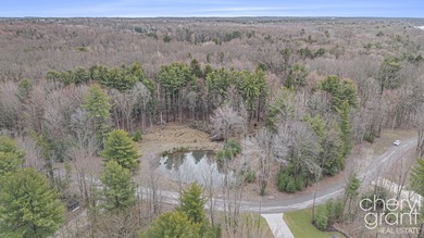 Nearly 4 acres of pure potential just a block from Lake Michigan - photo 3
