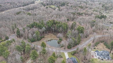 Nearly 4 acres of pure potential just a block from Lake Michigan - photo 5
