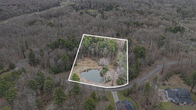 Nearly 4 acres of pure potential just a block from Lake Michigan - photo 8