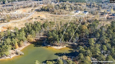Lake Lot For Sale in Prosperity, South Carolina