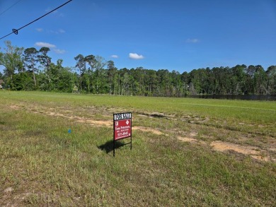 Lake Lot For Sale in Metter, Georgia