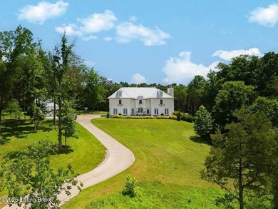 Discover this exceptional custom French-inspired estate on 8.3 - photo 1
