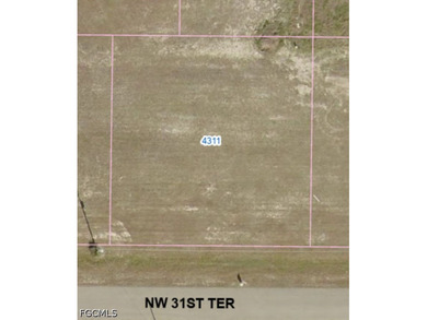 RARE TRIPLE LOT OPPORTUNITY in the rapidly growing NW Cape Coral - photo 1