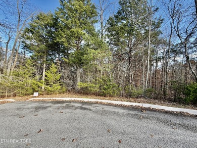 Lake Lot For Sale in Tazewell, Tennessee