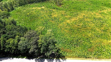 Perquimans River Lot For Sale in New Hope North Carolina