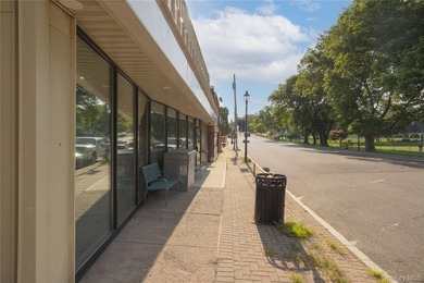 PRIME RETAIL SPACE FOR SALE IN DOWNTOWN PEARL RIVERPLETELY - photo 3