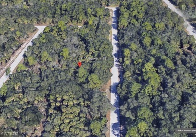 Port Charlotte Waterway Area Lot For Sale in Port Charlotte Florida