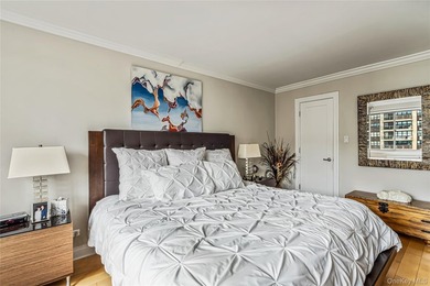 Beautifully Renovated Large 1 bedroom Deluxe (Jr. 4) in Luxury - photo 9
