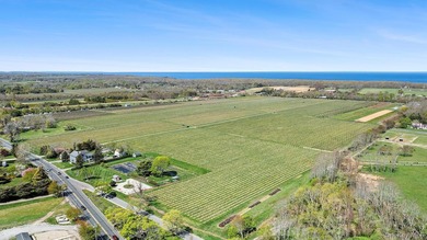 Some estates are acquired. The exceptional are entrusted to the - photo 19