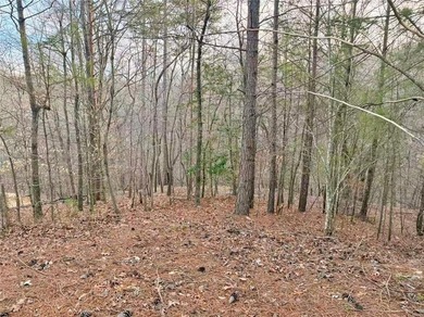 Lake Lanier Lot For Sale in Cumming Georgia