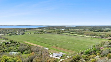 Some estates are acquired. The exceptional are entrusted to the - photo 22