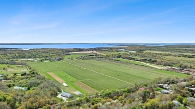 Some estates are acquired. The exceptional are entrusted to the - photo 24