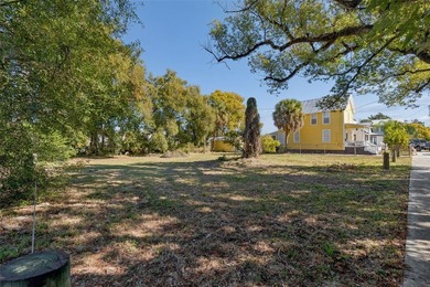 Prime vacant lot in the heart of Historic Ybor City! This - photo 4